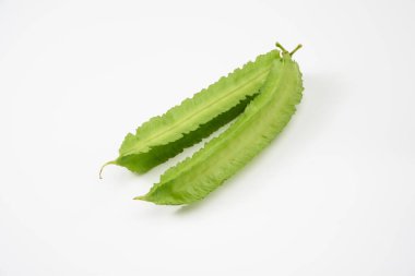  Beyaz arka plan üzerinde kanatlı fasulye           