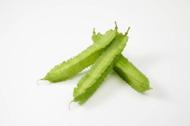  Beyaz arka plan üzerinde kanatlı fasulye           