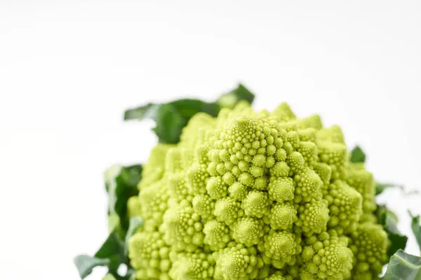 Romanesco karnabahar ve brokoliyle ilgili bir sebzedir. Mercan şeklindeki çiçek tomurcuklarının 