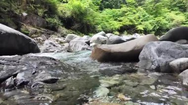 Yazın başında Kiso Vadisi 'ndeki nehrin akışı.