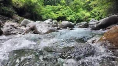Yazın başında Kiso Vadisi 'ndeki nehrin akışı.