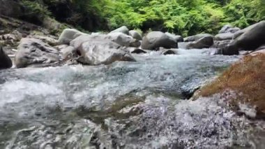 Yazın başında Kiso Vadisi 'ndeki nehrin akışı.