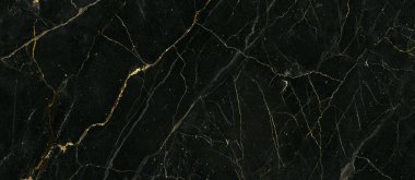 marble with golden veins, high glossy vitrified tiles,  dark black marble, interior exterior flooring, precious marble slab, dark black  clipart