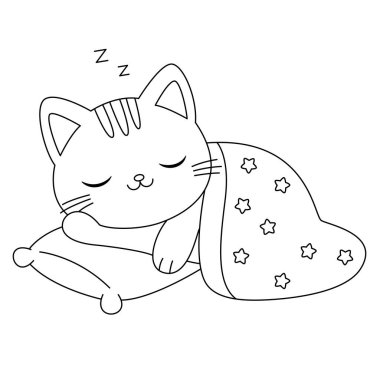 Şirin bir kedi battaniyeye sarılır ve uyur. 