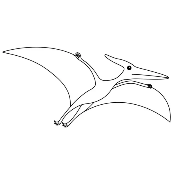 Pteranodon Página Para Colorir Bonito Dinossauro Plano Isolado Fundo Branco —  Vetores de Stock