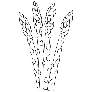 Çocuklar için Kuşkonmaz İzole Vektör Resimleri Renklendirme Sayfası