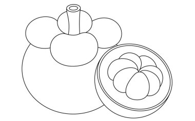 Mangosteen İzole Edilmiş Vektör Resimleri Çocuklar için El Çizimi Renk Sayfası