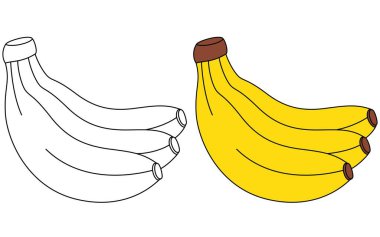 Muz İzole Edilmiş Vektör Resimleri Çocuklar için El Çizimi Renk Sayfası