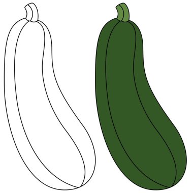 Kabak İzole Edilmiş Vektör Resmetme Sayfa Çocuklar için Çizilmiş