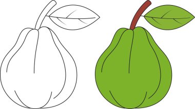 Guava İzole Vektör Resimleri Çocuklar için Çizilmiş Sayfa Boyama Sayfası 