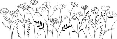 Vahşi Çiçek Çizim Çocuklar ve Yetişkinler için Renk Çizim Sayfası