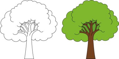 Ağaç Özeti Renk Sayfası