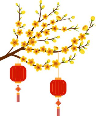 Yeni yıl tatili için Kayısı Çiçeği Şubesi Dekorasyonu. Çin 'in yeni yıl illüstrasyonu