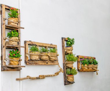 Skiathos Adası, Yunanistan - 25 Ağustos 2022 - Beyaz bir arka planda bazı güzel çiçeklerle süslenmiş bir duvarın fotoğrafları.