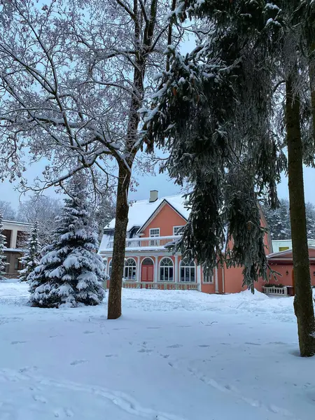 Kış manzarası karla kaplı ağaçlar ve eski bir ev