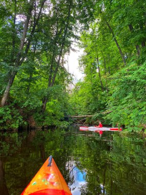 Sahilde bir ormanda kano