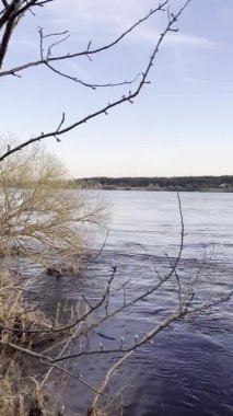 Arka planda ağaçlar olan güzel göl manzarası