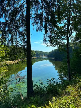 Parkta nehri olan güzel bir manzara.