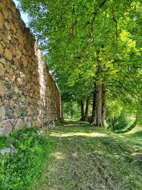 Parktaki eski tuğla duvar