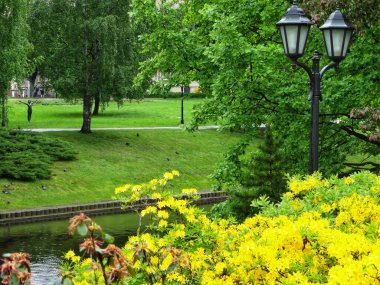 Kanallı şehir parkı manzarası