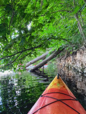 Ormanlık bir alanda sudan bir kano görülüyor.
