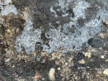 Karlı bir kayanın yakınına.