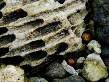 Dağ kayaları ile soyut bir arka plan. Deniz, göl ya da nehir kıyısında bulunan büyük şekilli kayalar. Seyahat ve turizm kavramı.