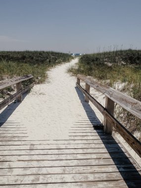 Sahil kıyısına kadar tahta köprüyü çimenli alanlarla kaplayan okyanus kumları.
