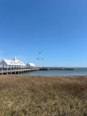 Feribot iskelesi okyanus ulaşımı plaj yüksek çimen köprüsü manzarası 