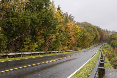 Ormanda bir yolu olan sonbahar manzarası