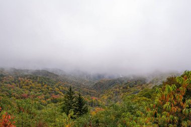 Karpat Dağları 'nda sonbahar manzarası