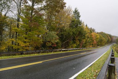 Ormanda renkli sonbahar yolu