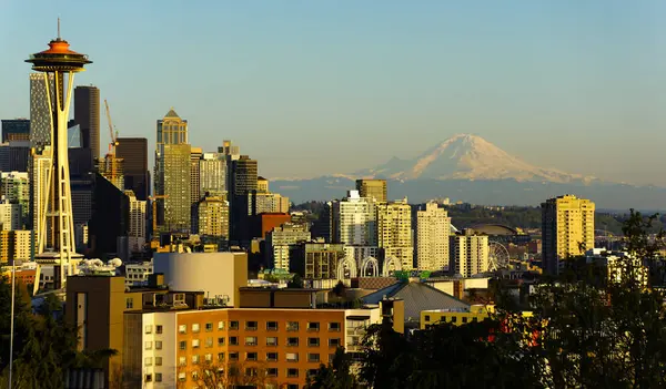 Ormandaki ağaç gövdesindeki doğu mavisi bir kuş.