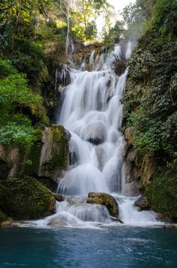 basamaklı şelale orman