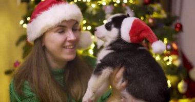 Güzel bir kadın Noel ağacının yanında otururken köpek yavrusuyla oynayıp eğleniyor. Genç bayan kırmızı Noel Baba şapkasıyla köpeğine sarılıyor.