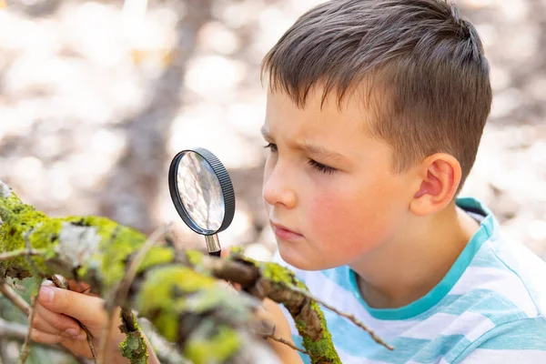 Nieuwsgierige Jongen Verkent Natuur Met Vergrootglas Buitenshuis — Stockfoto