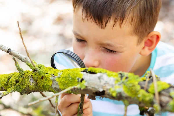 Menino Curioso Está Explorando Natureza Com Lupa Livre — Fotografia de Stock