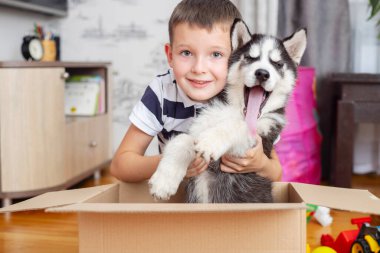 Çocuk evdeki karton kutudan köpek yavrusu çıkarıyor. Çocuğun doğum günü hediyesi var..