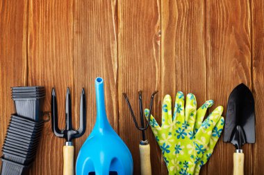 Garden tools on wooden background with space for text top view.
