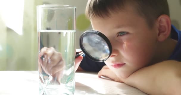 小男孩透过放大镜看着杯子里的水 水质检查的概念 高质量的4K镜头 — 图库视频影像