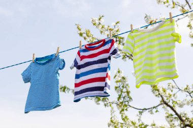 T-shirts hanging on the clothing line in front of blooming apple trees in the garden.