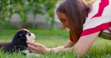 Woman lying on a lawn in the garden and playing with husky puppy dog. High quality 4k footage