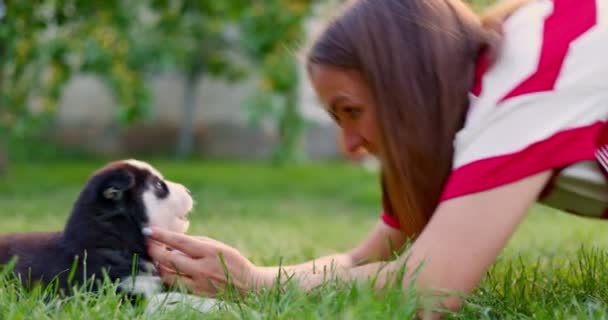 Woman Lying Lawn Garden Playing Husky Puppy Dog High Quality — Video