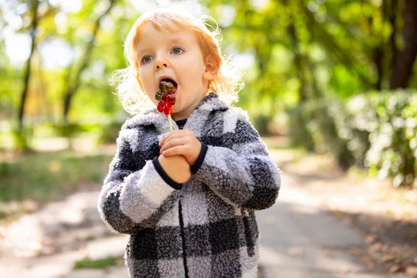 Lucu Anak Dengan Permen Lolipop Bahagia Anak Kecil Makan Gula — Stok Foto