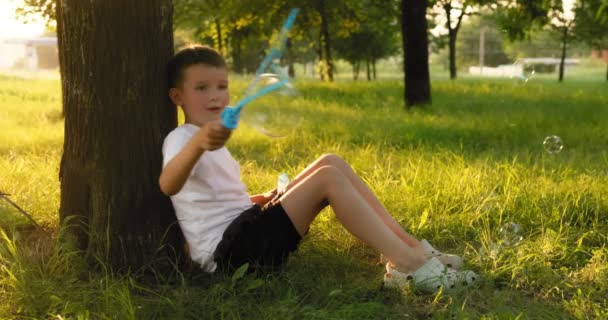 Child Boy Blows Soap Bubbles Having Fun Playing Park Rays — стоковое видео