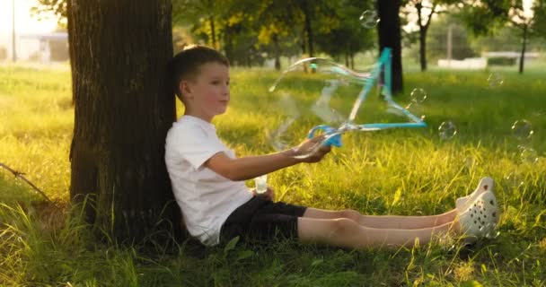 Dziecko Chłopiec Dmucha Bańki Mydlane Bawiąc Się Parku Promieniach Zachodu — Wideo stockowe