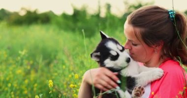 Dışarıda sevimli, iri yarı yavru köpekle oynayan bir kadın. Evcil hayvan ve sahibinin aşkı. Yüksek kalite 4k görüntü