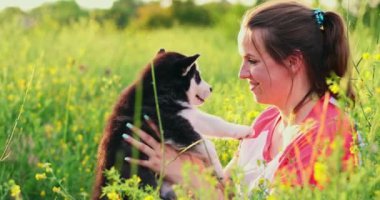 Dışarıda sevimli, iri yarı yavru köpekle oynayan bir kadın. Evcil hayvan ve sahibinin aşkı. Yüksek kalite 4k görüntü