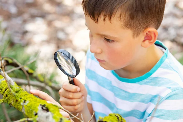 Любопытный Мальчик Исследует Природу Лупой Открытом Воздухе — стоковое фото