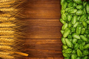 Beer brewing ingredients, green hop cones, and golden wheat ears on a wooden table with space for your object or text clipart